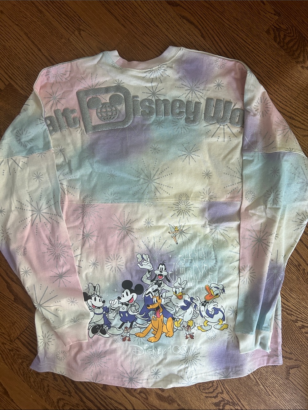 Disney Mickey & Friends 100th Anniversary Rare
